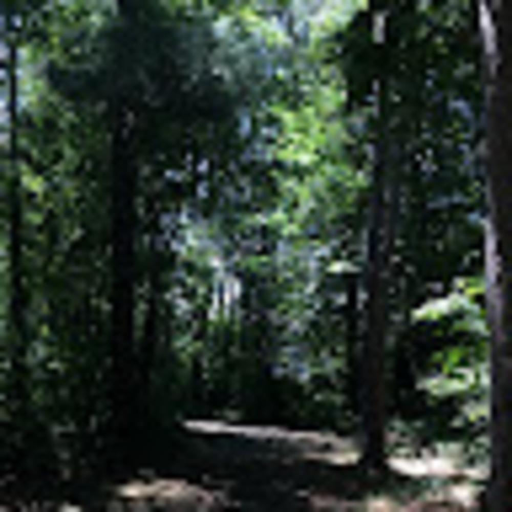 Meet your Posher, Maegan